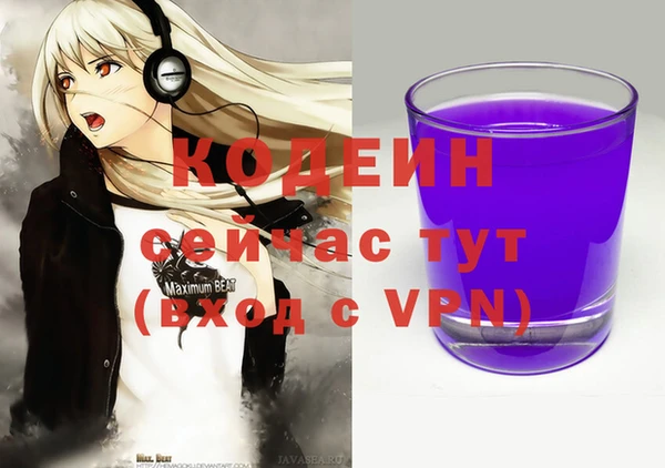 индика Новокубанск