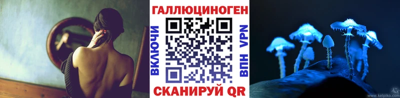 Псилоцибиновые грибы Psilocybe  Нахабино 